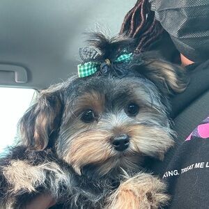 Meet your Posher, Denise